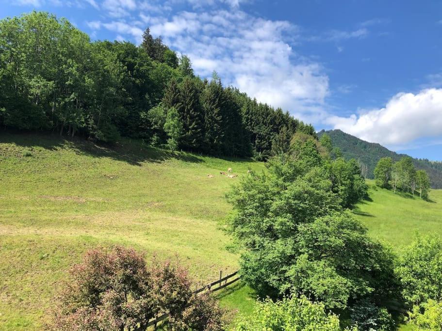 Nagelfluh Hues Lägenhet Blaichach Exteriör bild
